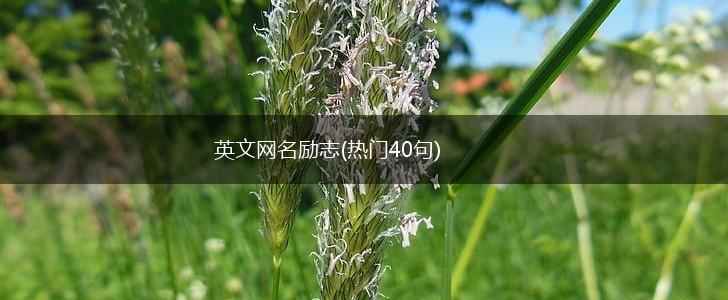 英文网名励志(热门40句),第1张