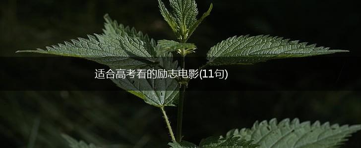 适合高考看的励志电影(11句),第1张