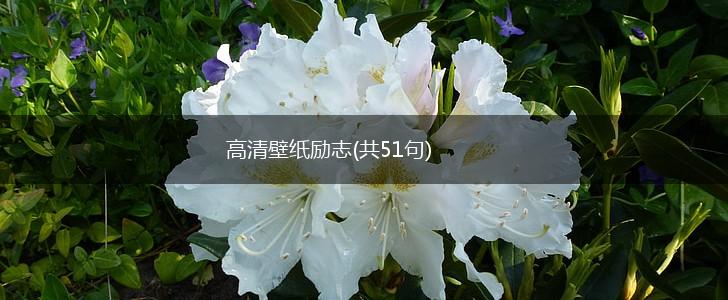 高清壁纸励志(共51句),第1张