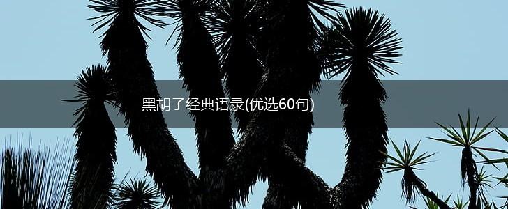 黑胡子经典语录(优选60句),第1张