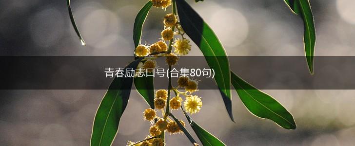 青春励志口号(合集80句),第1张