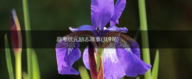 高考状元励志故事(共9句),第1张