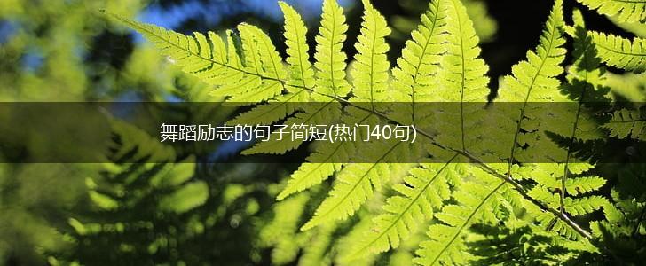 舞蹈励志的句子简短(热门40句),第1张 舞蹈励志的句子简短(热门40句),第1张