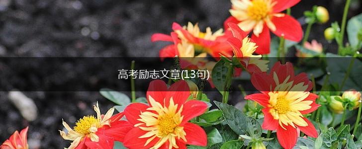 高考励志文章(13句),第1张