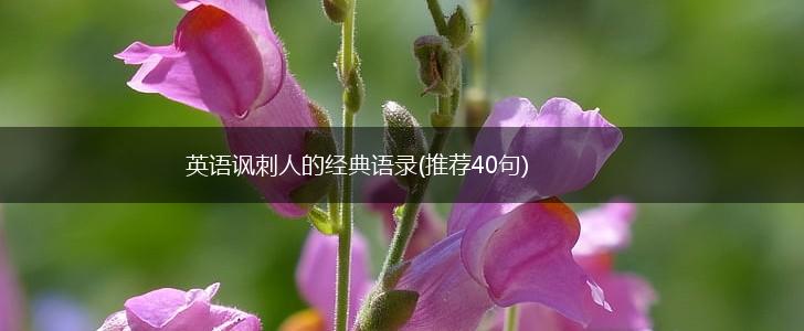 英语讽刺人的经典语录(推荐40句),第1张
