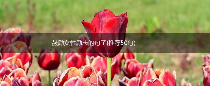 鼓励女性励志的句子(推荐50句),第1张