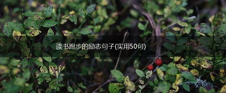 读书跑步的励志句子(实用50句),第1张
