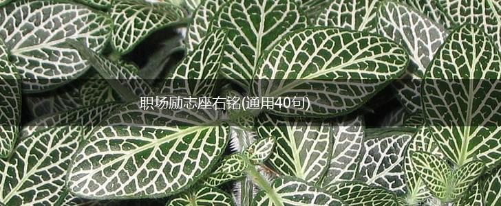 职场励志座右铭(通用40句),第1张