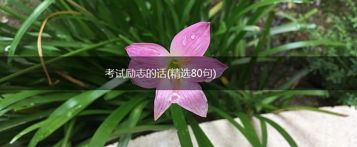 考试励志的话(精选80句),第1张 考试励志的话(精选80句),第1张