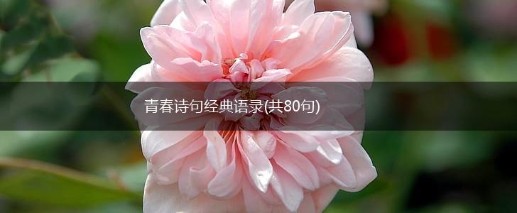 青春诗句经典语录(共80句),第1张