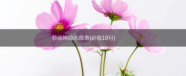 蔡徐坤励志故事(必备10句),第1张