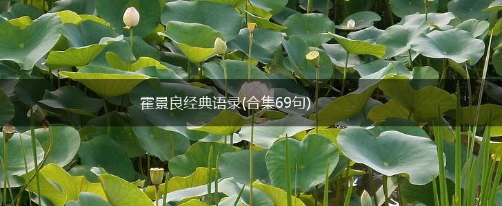 霍景良经典语录(合集69句),第1张