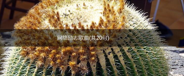 网络励志歌曲(共20句),第1张 网络励志歌曲(共20句),第1张