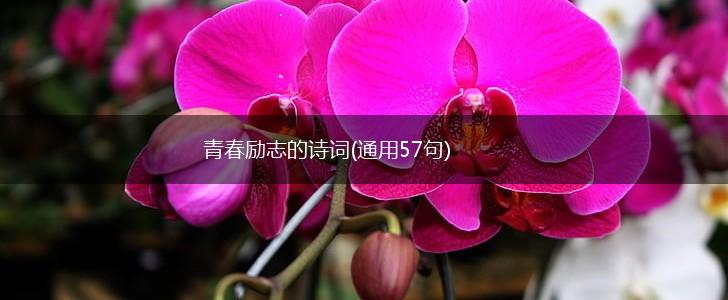 青春励志的诗词(通用57句),第1张
