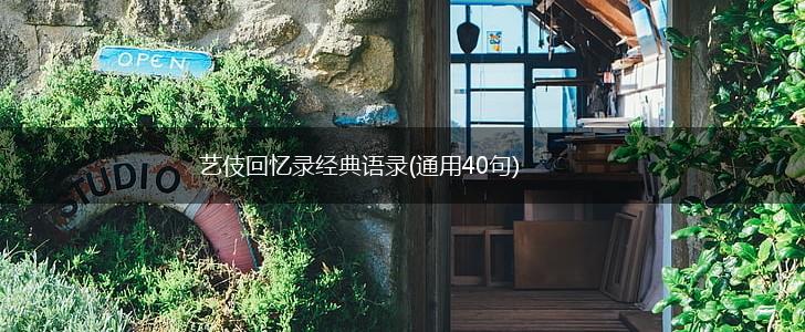 艺伎回忆录经典语录(通用40句),第1张