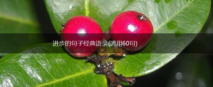 进步的句子经典语录(通用60句),第1张