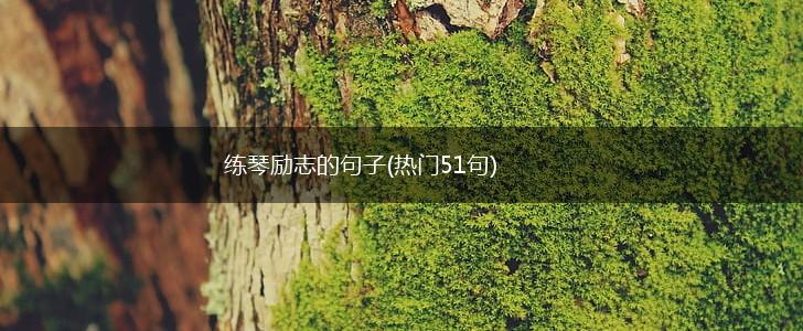 练琴励志的句子(热门51句),第1张 练琴励志的句子(热门51句),第1张