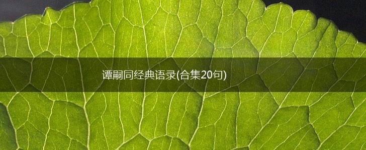 谭嗣同经典语录(合集20句),第1张