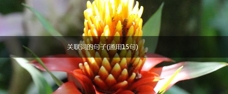 关联词的句子(通用15句),第1张