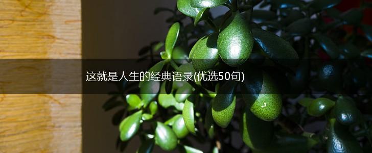 这就是人生的经典语录(优选50句),第1张