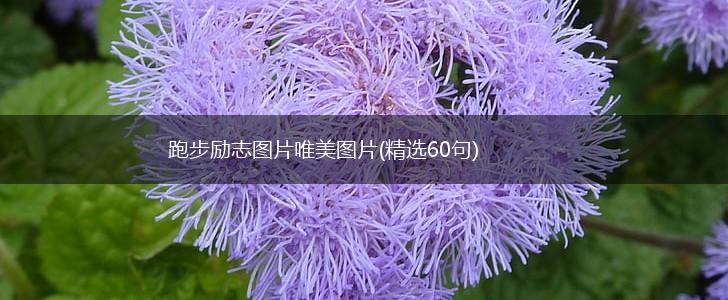 跑步励志图片唯美图片(精选60句),第1张