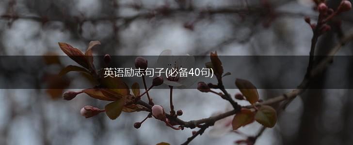 英语励志句子(必备40句),第1张