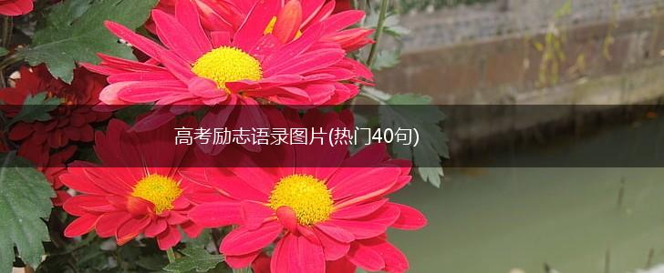 高考励志语录图片(热门40句),第1张