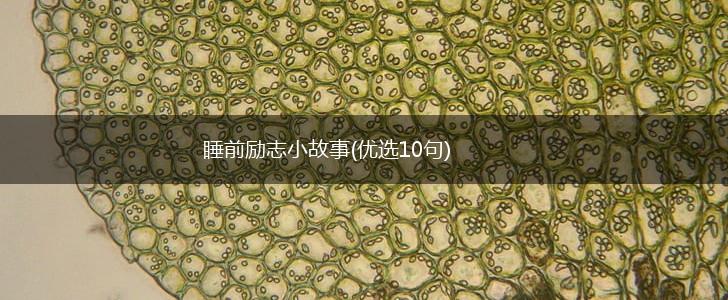 睡前励志小故事(优选10句),第1张 睡前励志小故事(优选10句),第1张