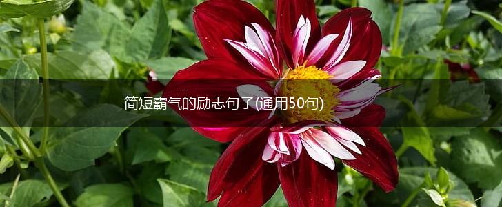 简短霸气的励志句子(通用50句),第1张 简短霸气的励志句子(通用50句),第1张