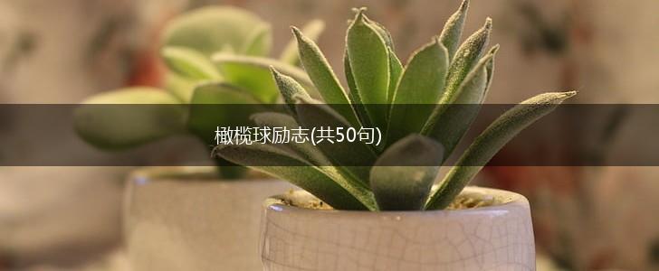 橄榄球励志(共50句),第1张 橄榄球励志(共50句),第1张