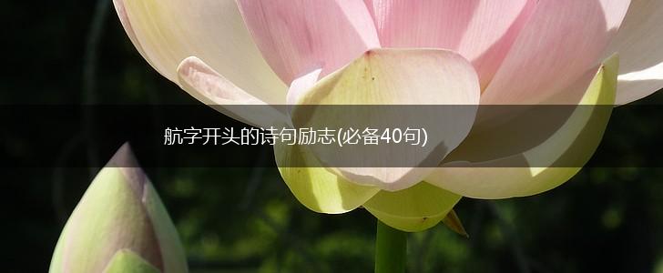 航字开头的诗句励志(必备40句),第1张