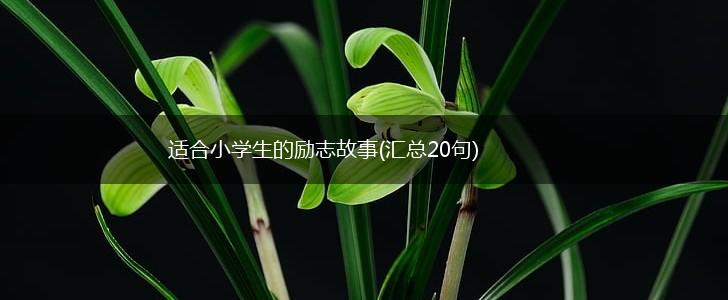 适合小学生的励志故事(汇总20句),第1张
