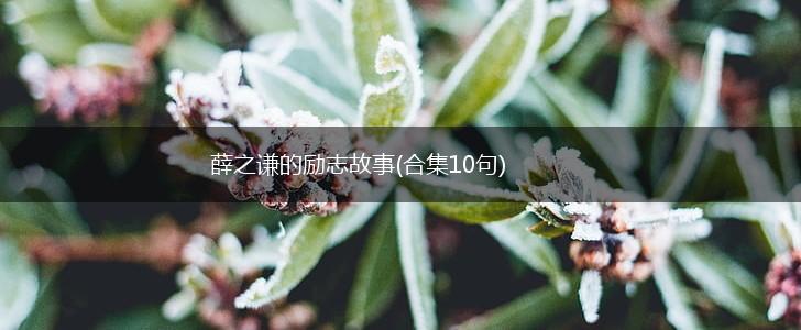薛之谦的励志故事(合集10句),第1张