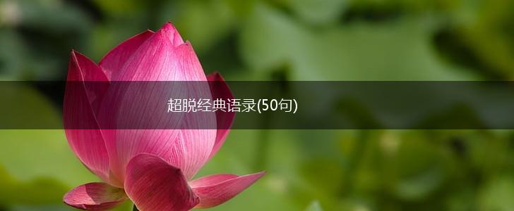 超脱经典语录(50句),第1张