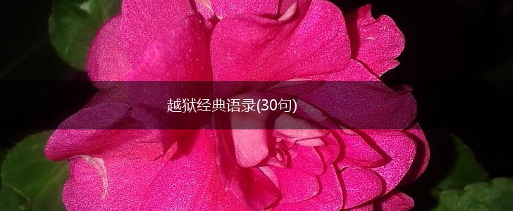 越狱经典语录(30句),第1张