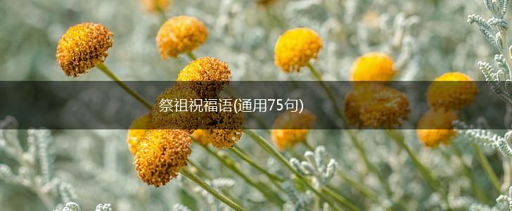 祭祖祝福语(通用75句),第1张