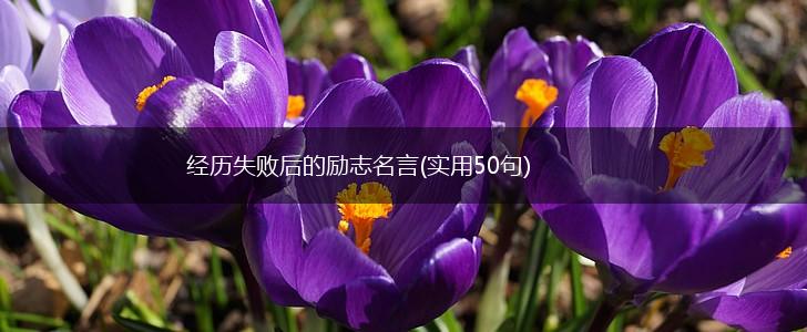 经历失败后的励志名言(实用50句),第1张 经历失败后的励志名言(实用50句),第1张