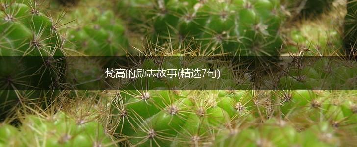 梵高的励志故事(精选7句),第1张