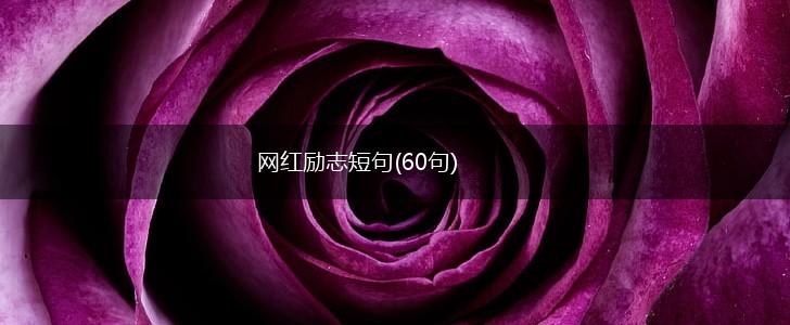 网红励志短句(60句),第1张 网红励志短句(60句),第1张