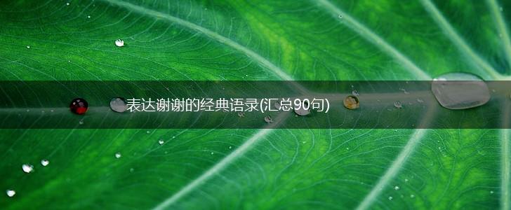 表达谢谢的经典语录(汇总90句),第1张