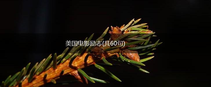 美国电影励志(共60句),第1张