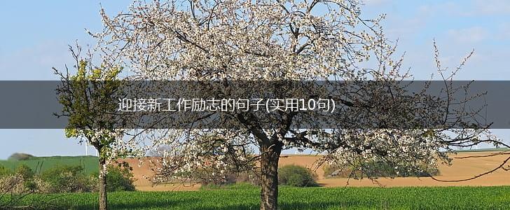 迎接新工作励志的句子(实用10句),第1张