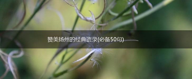 赞美扬州的经典语录(必备50句),第1张