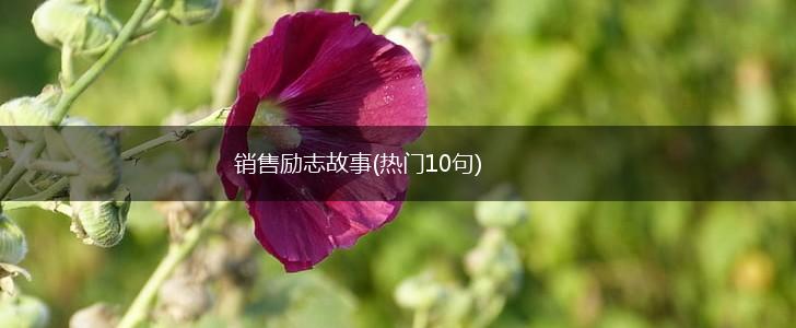 销售励志故事(热门10句),第1张