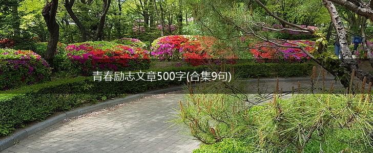 青春励志文章500字(合集9句),第1张