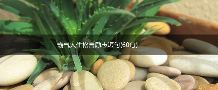 霸气人生格言励志短句(60句),第1张