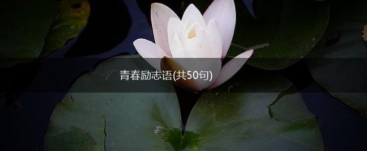 青春励志语(共50句),第1张
