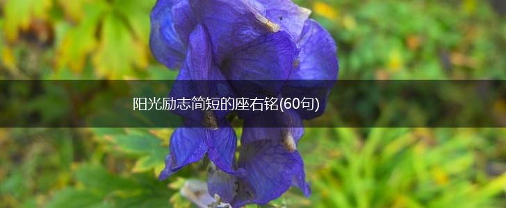 阳光励志简短的座右铭(60句),第1张