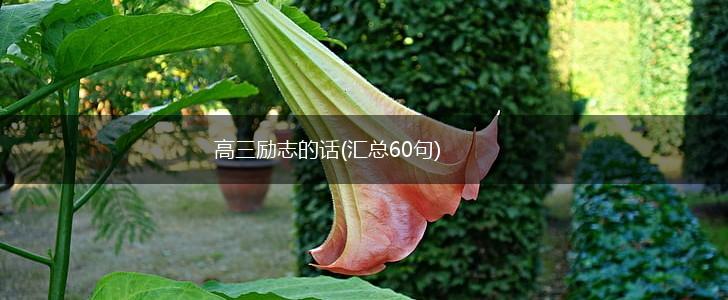 高三励志的话(汇总60句),第1张