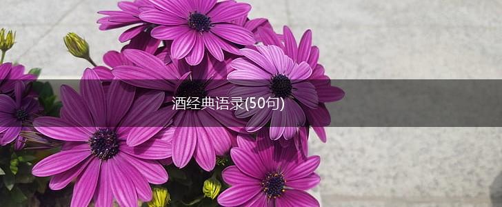 酒经典语录(50句),第1张